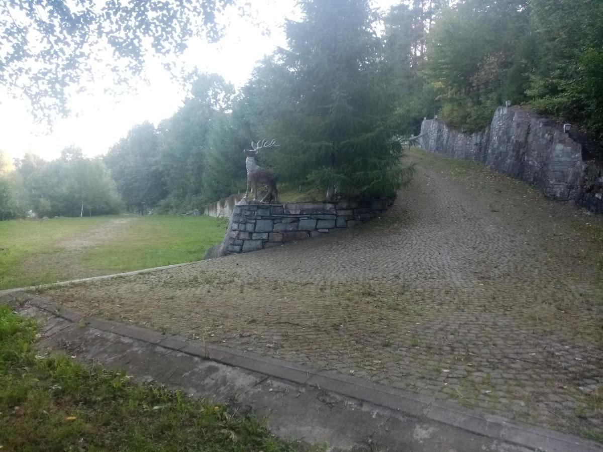 Садиба Федорчуків Гірська хатина Шешоры Экстерьер фото