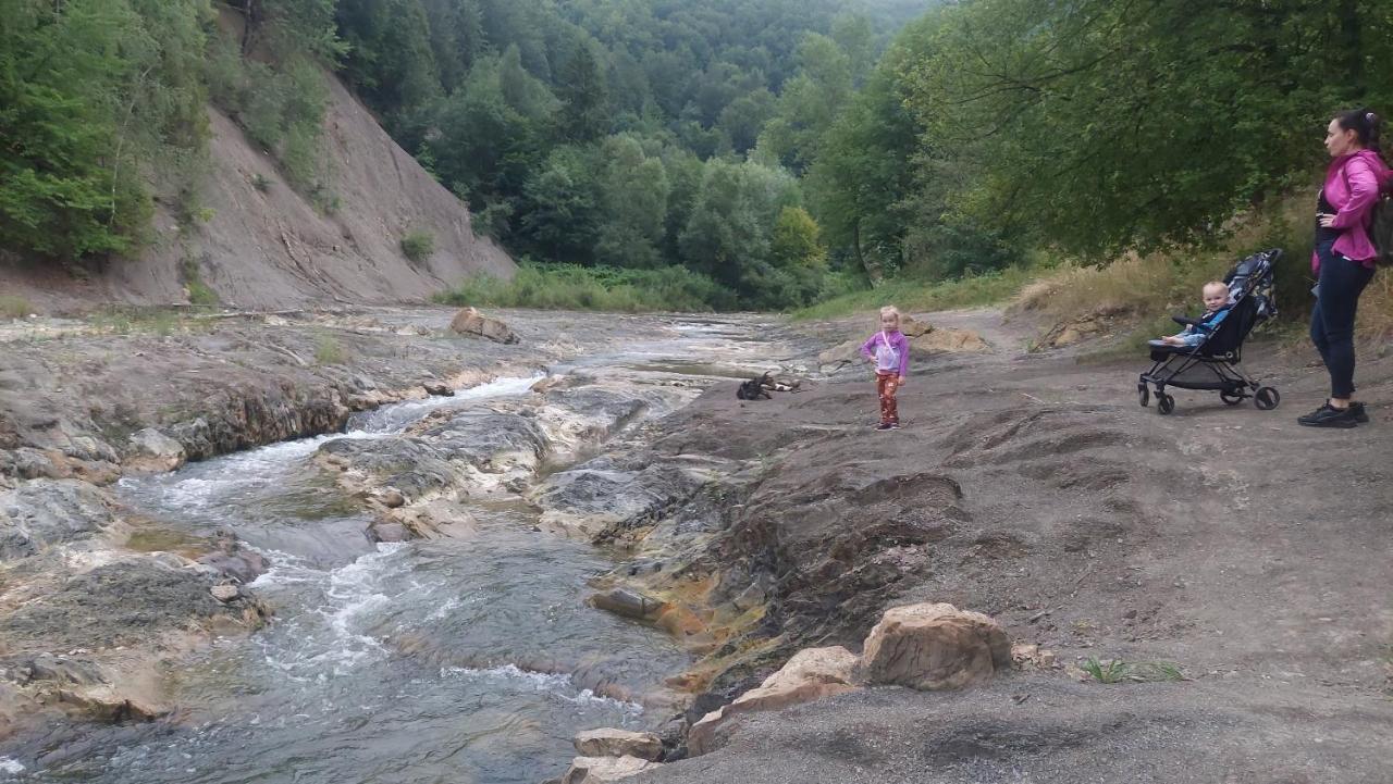Садиба Федорчуків Гірська хатина Шешоры Экстерьер фото